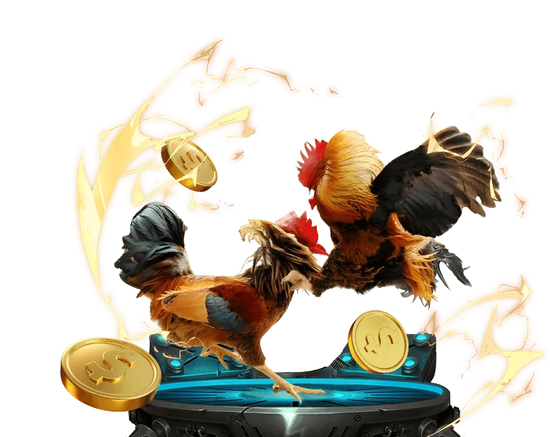 Hình ảnh minh họa các nguyên tắc bảo vệ dữ liệu theo GDPR cho người chơi trực tiếp đá gà cựa dao Philippines